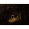 Тактический фонарь ARMYTEK DOBERMANN PRO MAGNET USB F07501C